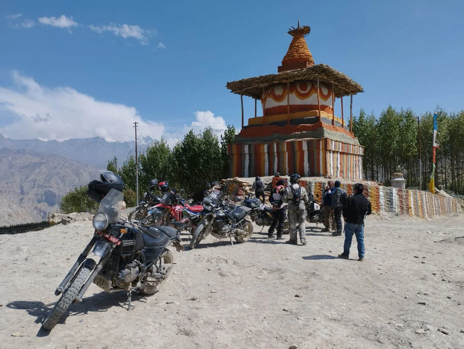 Lower mustang